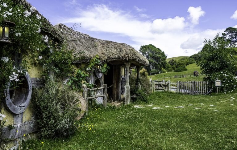 A house in Newzealand